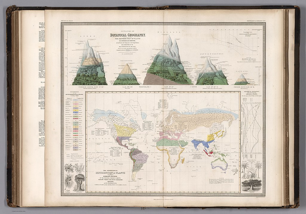 1024px Alexander Von Humboldt 1850 Geographical Distribution Of Plants